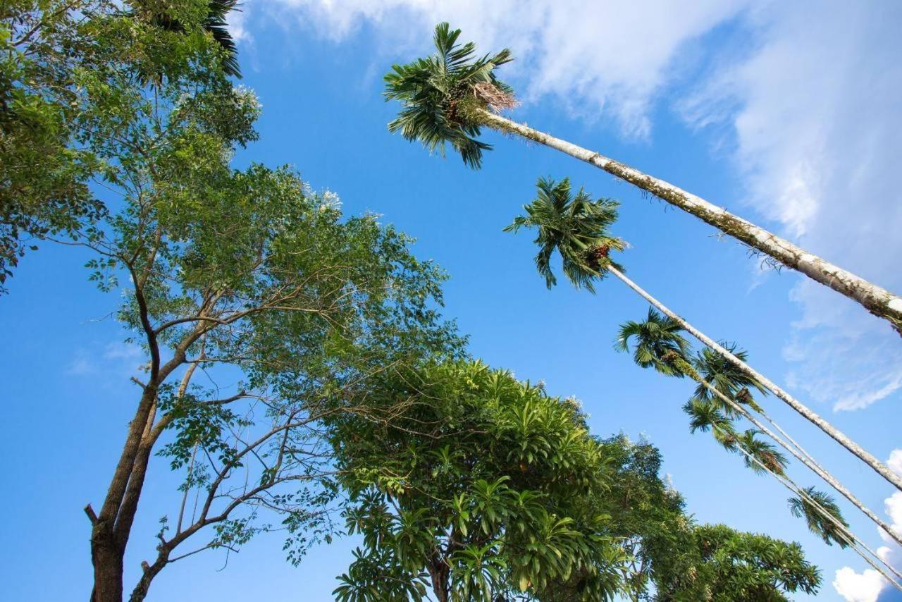 Baan Chong Fa Resort Khao Lak Zewnętrze zdjęcie